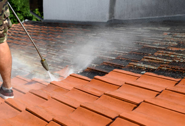 Best Sidewalk Pressure Washing  in Prestonsburg, KY
